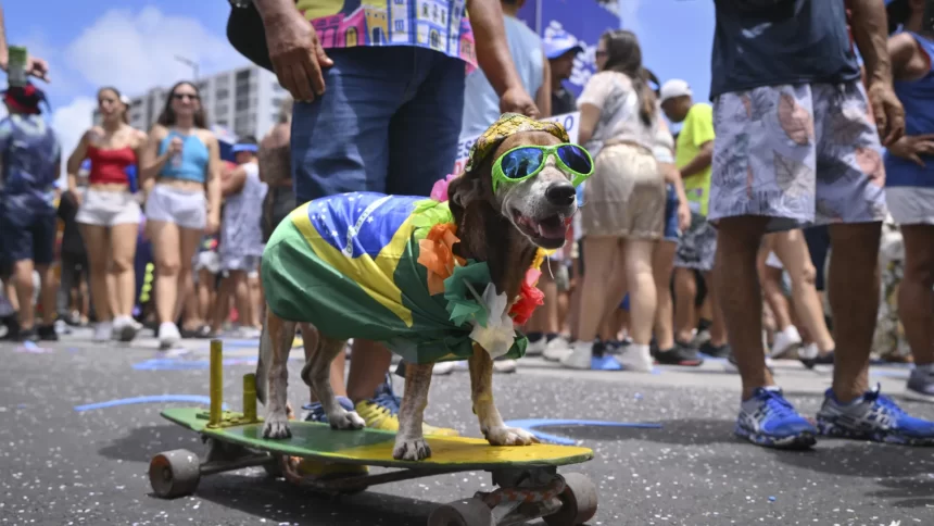 animais-de-estimacao-com-fantasias-de-carnaval