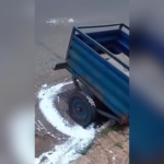 carretinha-interrompe-pintura-de-meio-fio-em-cidade-do-to,-e-internautas-se-divertem-com-a-situacao;