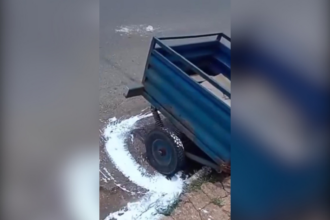 carretinha-interrompe-pintura-de-meio-fio-em-cidade-do-to,-e-internautas-se-divertem-com-a-situacao;