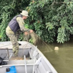 naturatins-apreende-mais-de-12-mil-metros-de-redes-durante-o-feriado-de-carnaval