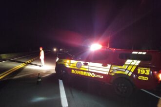 homem-morre-apos-ser-atropelado-na-br-153