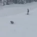 ursos-invadem-pista-de-esqui-nos-eua-e-surpreendem-turistas;-assista