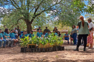 naturatins-realiza-acao-de-educacao-ambiental-no-assentamento-macauba,-em-pium