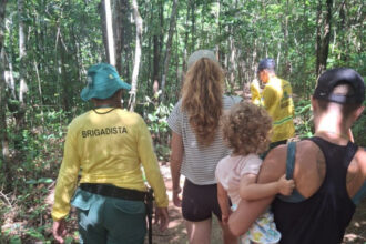 naturatins-recebe-turistas-ingleses-no-parque-estadual-do-cantao