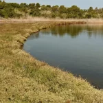 oito-morrem-apos-onibus-cair-no-lago-mais-fundo-do-mundo,-na-siberia