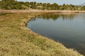 oito-morrem-apos-onibus-cair-no-lago-mais-fundo-do-mundo,-na-siberia