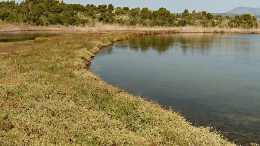 oito-morrem-apos-onibus-cair-no-lago-mais-fundo-do-mundo,-na-siberia