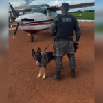 piloto-e-preso-e-aviao-apreendido-no-tocantins-apos-policia-encontrar-drogas-e-folhas-de-coca