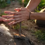 dicas-famosas-de-“sobrevivencia”-que-podem-matar-na-verdade