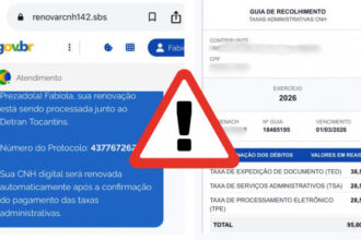 detran/to-alerta-sobre-golpes-envolvendo-falsa-renovacao-automatica-da-cnh-–-secom-to