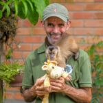 apos-perder-familiares,-voluntario-enfrenta-a-depressao-por-meio-do-cuidado-com-animais-silvestres