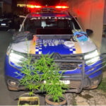 pm-prende-suspeitos-por-trafico-de-drogas,-furto-e-resistencia-em-araguaina-–-pm-to