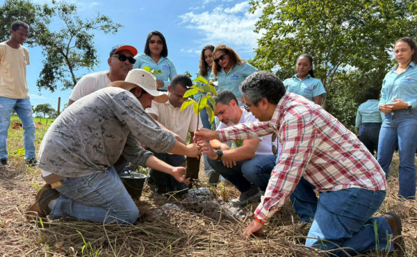 semana-da-agua-inicia-com-apresentacao-do-projeto-plantando-agua-e-acoes-de-preservacao-de-nascentes-–-secom-to