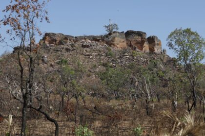 pesquisa-com-ia-identifica-terras-agricolas-abandonadas-no-cerrado