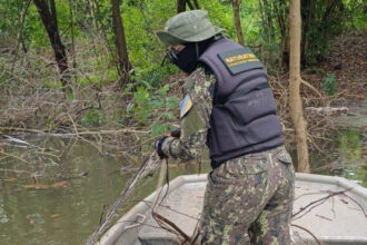 no-dia-da-mulher,-naturatins-destaca-atuacao-de-servidoras-na-preservacao-ambiental-no-tocantins-–-naturatins-to