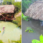 fervedouro-no-jalapao-fica-alagado-e-e-coberto-por-vegetacao-apos-temporais-no-tocantins