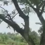 video-mostra-queda-de-aviao-militar-que-deixou-66-mortos-na-colombia