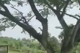 video-mostra-queda-de-aviao-militar-que-deixou-66-mortos-na-colombia