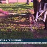 ja-–-to-de-5-de-marco-de