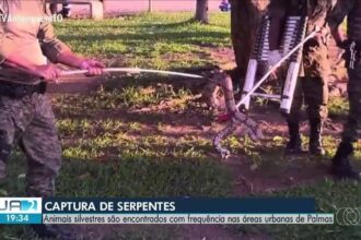 ja-–-to-de-5-de-marco-de