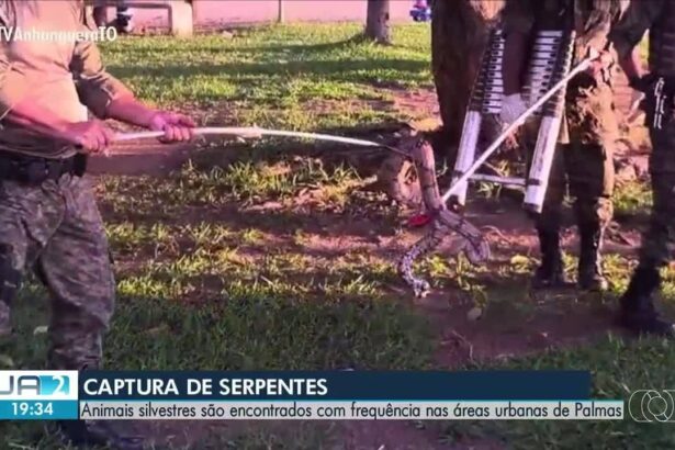 ja-–-to-de-5-de-marco-de