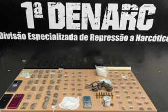em-palmas,-policia-civil-apreende-grande-quantidade-de-drogas-e-tira-arma-de-fogo-de-circulacao