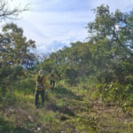 naturatins-inicia-acoes-de-prevencao-a-incendios-florestais-no-parque-estadual-do-lajeado