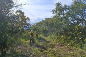 naturatins-inicia-acoes-de-prevencao-a-incendios-florestais-no-parque-estadual-do-lajeado