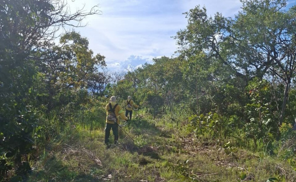 naturatins-inicia-acoes-de-prevencao-a-incendios-florestais-no-parque-estadual-do-lajeado