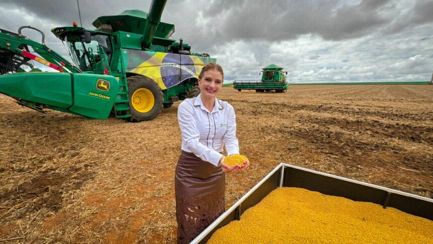 mulheres-ocupam-espaco-de-lideranca-e-transformam-o-agro-tocantinense