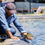 com-acoes-do-governo-do-tocantins,-producao-de-peixes-chega-a-20,4-mil-toneladas-e-amplia-a-oferta-de-pescado-na-semana-santa-–-secom-to