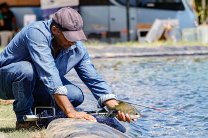 com-acoes-do-governo-do-tocantins,-producao-de-peixes-chega-a-20,4-mil-toneladas-e-amplia-a-oferta-de-pescado-na-semana-santa-–-secom-to