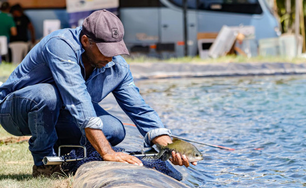 com-acoes-do-governo-do-tocantins,-producao-de-peixes-chega-a-20,4-mil-toneladas-e-amplia-a-oferta-de-pescado-na-semana-santa-–-secom-to