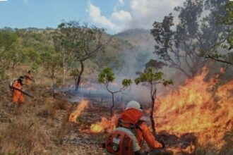 deputada-claudia-lelis-propoe-acao-preventiva-para-reforcar-combate-as-queimadas-no-tocantins