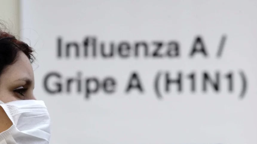 casos-de-gripe-grave-ja-somam-24-mil-no-ano-e-avancam-no-pais,-aponta-fiocruz