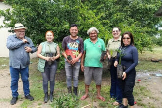 naturatins-fortalece-acoes-ambientais-em-aldeias-indigenas-de-pium-com-doacao-de-mudas-nativas