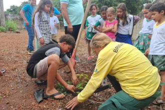 parque-estadual-do-cantao-realiza-doacao-e-plantio-de-mudas-em-escola-de-marianopolis