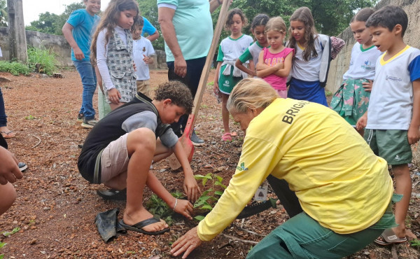 parque-estadual-do-cantao-realiza-doacao-e-plantio-de-mudas-em-escola-de-marianopolis