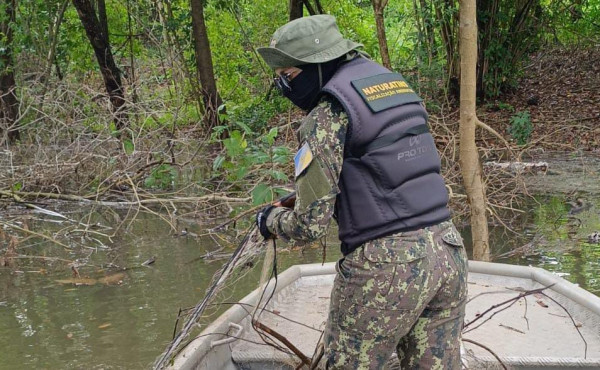 no-dia-da-mulher,-naturatins-presta-homenagem-a-servidoras-que-atuam-na-preservacao-ambiental-no-tocantins