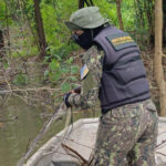 no-dia-da-mulher,-naturatins-destaca-atuacao-de-servidoras-na-preservacao-ambiental-no-tocantins