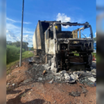 caminhao-com-28-toneladas-de-carne-pega-fogo-na-br-153-no-tocantins