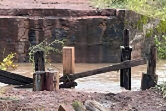 justica-acata-pedidos-do-mpto-e-determina-socorro-imediato-a-comunidades-isoladas-em-sandolandia