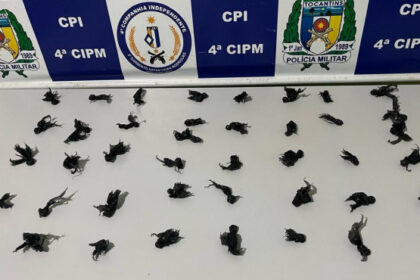 homem-e-preso-suspeito-por-trafico-de-drogas-em-cristalandia-–-pm-to