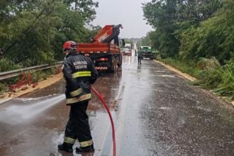 acidente-entre-duas-carretas-deixa-motorista-morto-no-tocantins