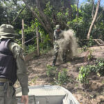 naturatins-intensifica-fiscalizacao-e-apreende-mais-de-4-mil-metros-de-redes-no-norte-do-estado

-–-naturatins-to