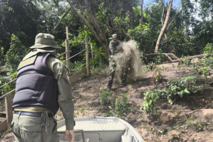 naturatins-intensifica-fiscalizacao-e-apreende-mais-de-4-mil-metros-de-redes-no-norte-do-estado

-–-naturatins-to