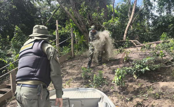 naturatins-intensifica-fiscalizacao-e-apreende-mais-de-4-mil-metros-de-redes-no-norte-do-estado

-–-naturatins-to