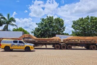 operacao-protetor-das-divisas:-pmto-apreende-seis-semirreboques-adulterados-e-gera-prejuizo-de-r$-740-mil-ao-crime-no-sul-do-estado