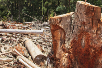 mpto-firma-termo-de-ajustamento-de-conduta-para-recuperacao-de-area-degradada-no-tocantins-e-impoe-obrigacoes-ambientais-a-proprietario-rural