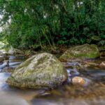 plano-busca-fortalecer-sistema-nacional-do-meio-ambiente-ate-2036